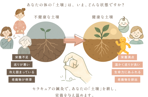 あなたの体の土壌はいまどんな状態ですか？不健康な土壌と健康な土壌の比較